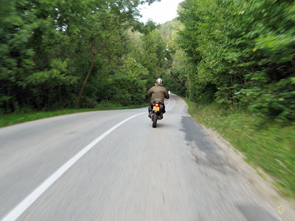 Tricker rides through the forest