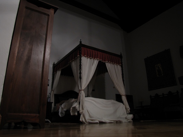 Canopy bed