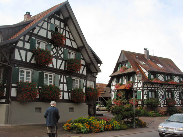 Timbered houses with flowers