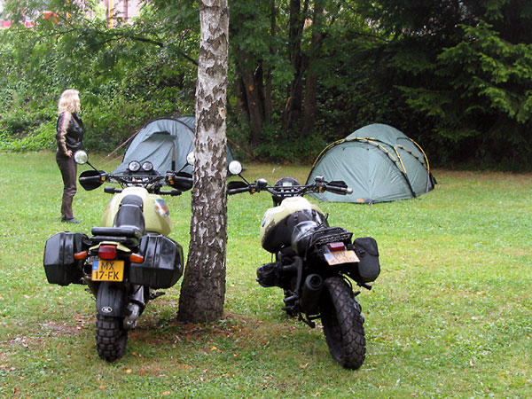 Two motorcycles against a tree