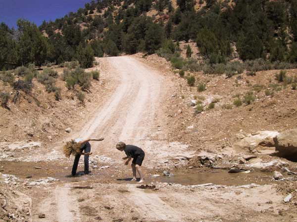 playing with water in a stream